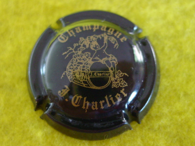 Photo de la capsule