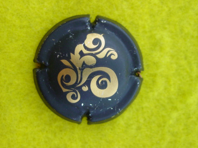 Photo de la capsule