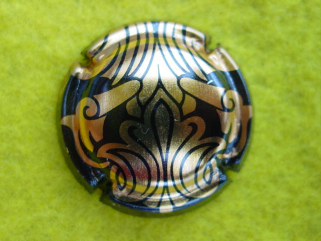 Photo de la capsule
