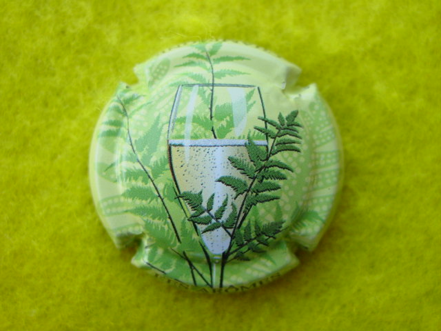 Photo de la capsule
