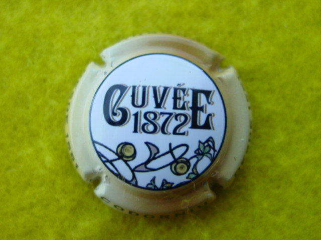 Photo de la capsule