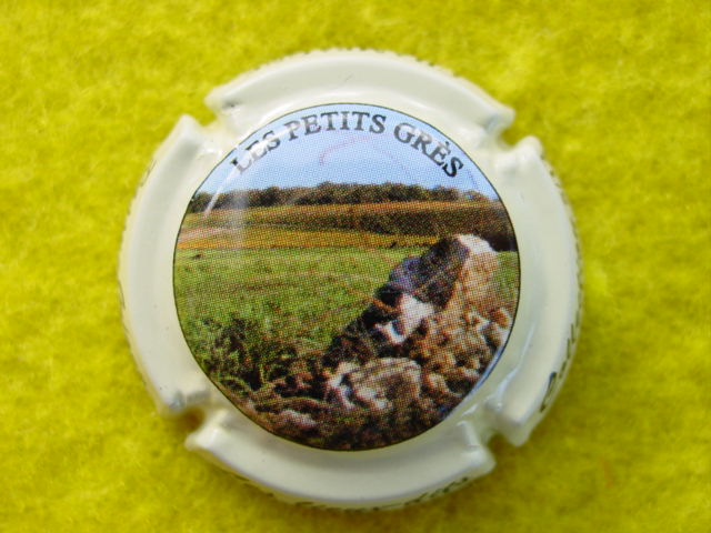 Photo de la capsule