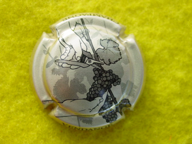 Photo de la capsule
