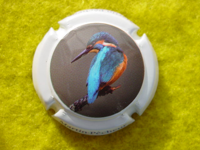 Photo de la capsule