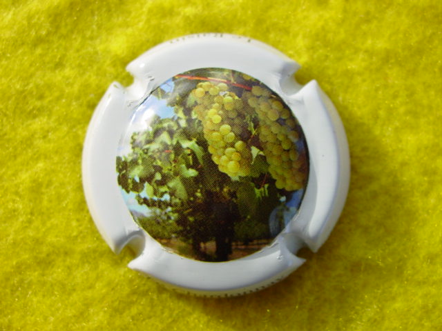 Photo de la capsule