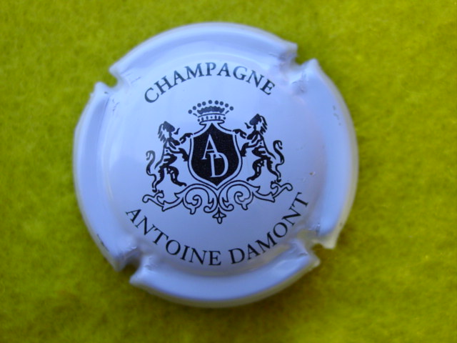 Photo de la capsule