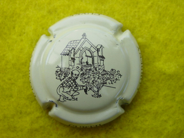 Photo de la capsule