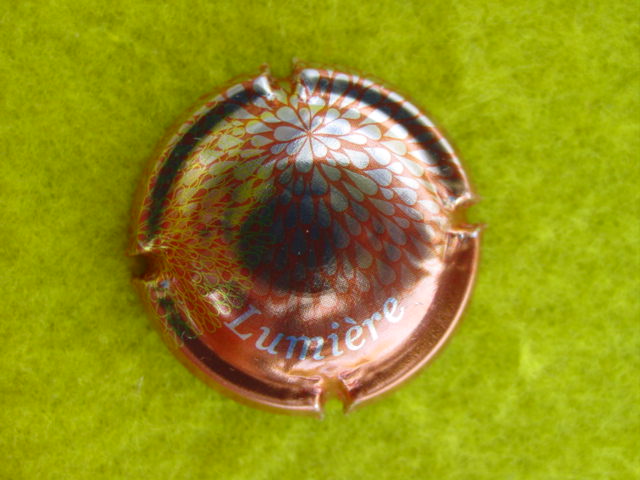 Photo de la capsule