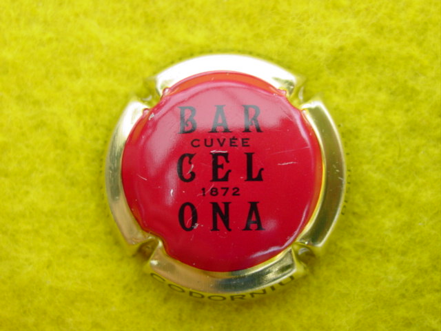 Photo de la capsule