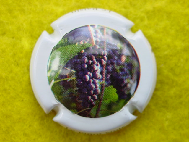 Photo de la capsule