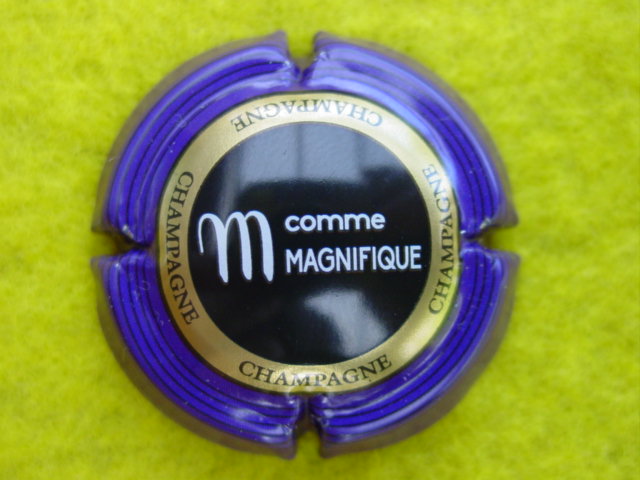 Photo de la capsule