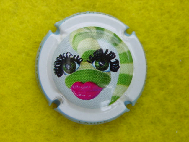 Photo de la capsule