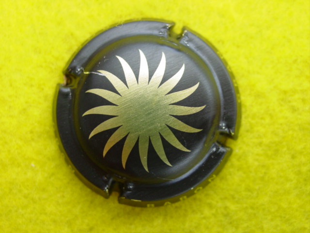 Photo de la capsule