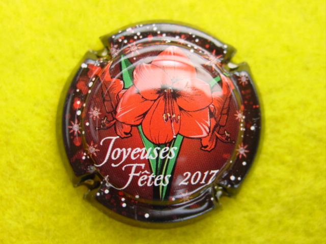 Photo de la capsule