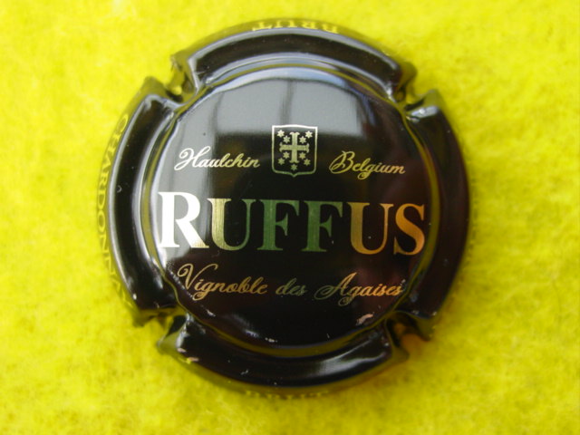 Photo de la capsule