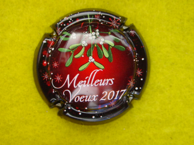 Photo de la capsule
