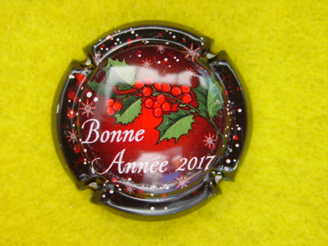 Photo de la capsule
