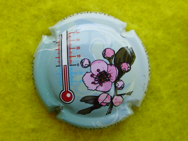 Photo de la capsule