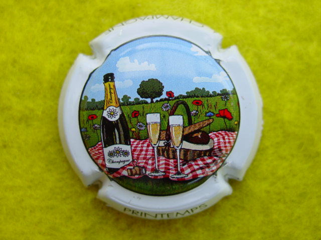 Photo de la capsule