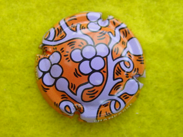Photo de la capsule