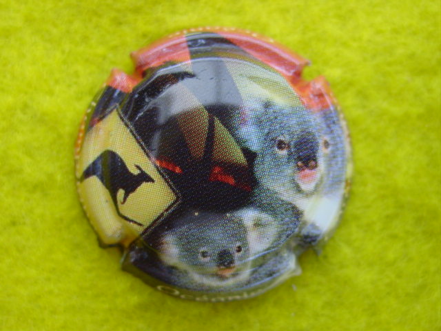 Photo de la capsule