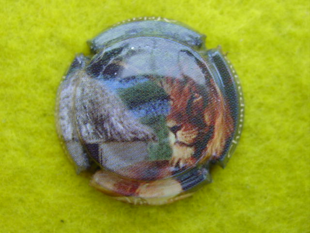 Photo de la capsule