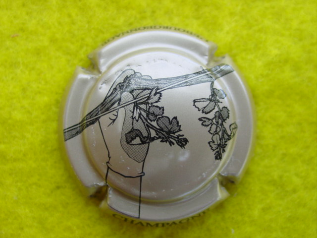Photo de la capsule