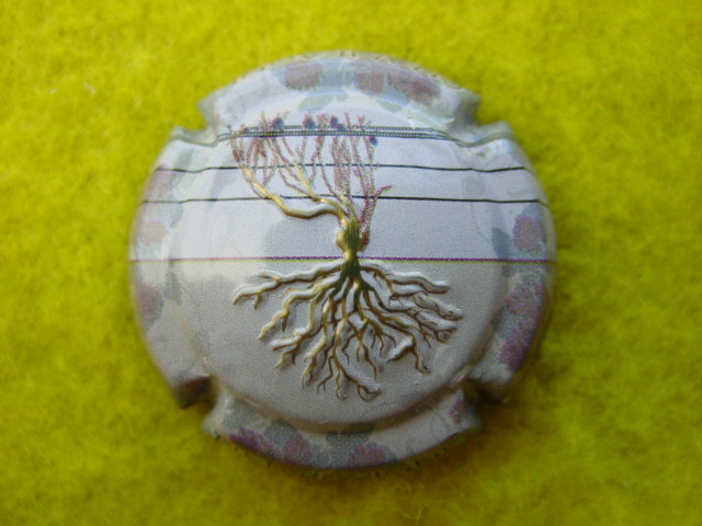 Photo de la capsule