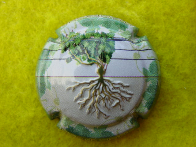 Photo de la capsule