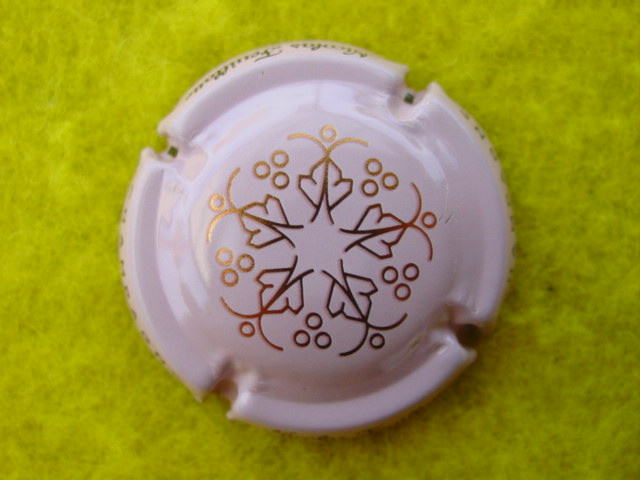 Photo de la capsule