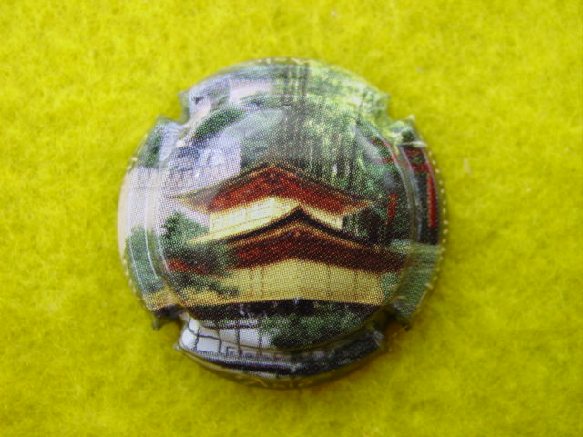 Photo de la capsule