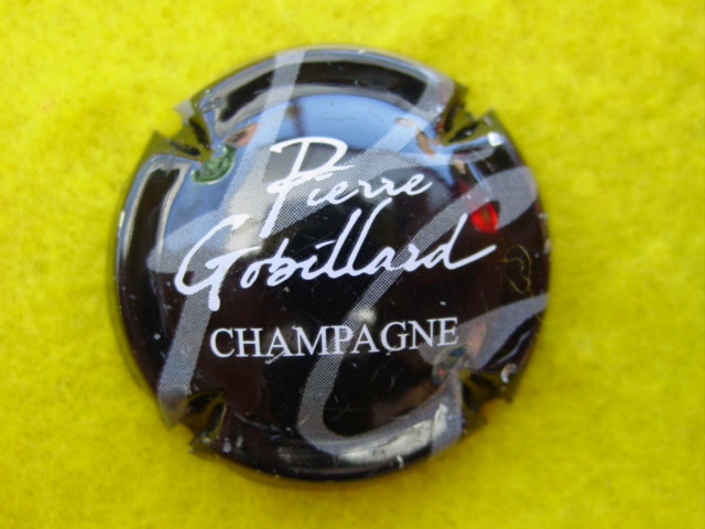 Photo de la capsule