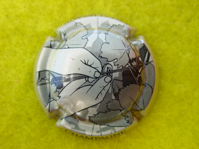Photo de la capsule
