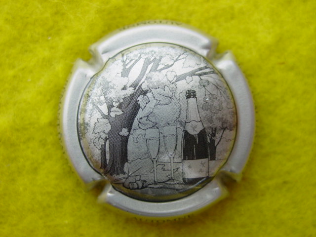 Photo de la capsule