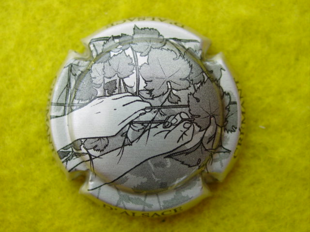 Photo de la capsule
