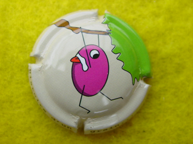 Photo de la capsule