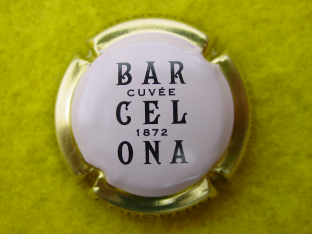 Photo de la capsule