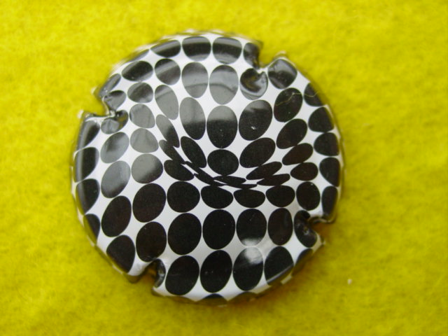 Photo de la capsule