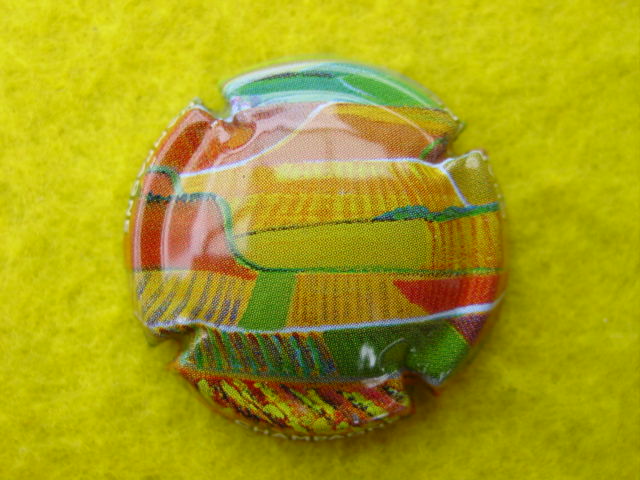 Photo de la capsule