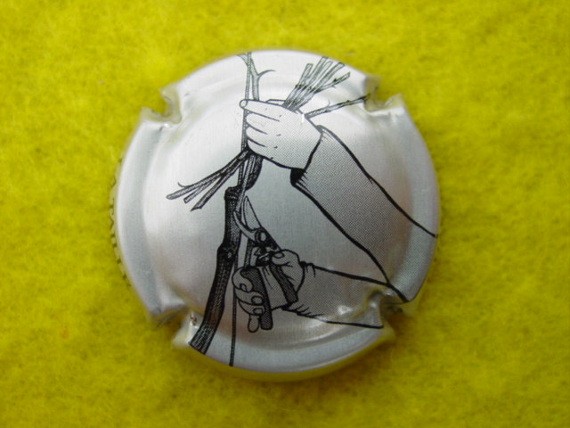 Photo de la capsule