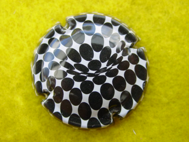 Photo de la capsule