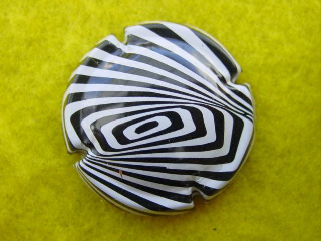 Photo de la capsule