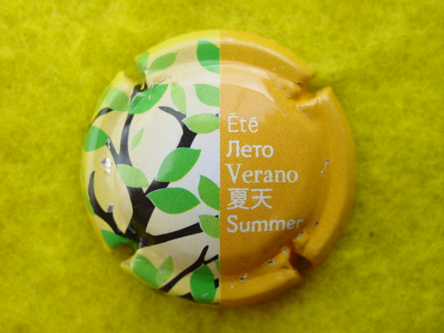 Photo de la capsule