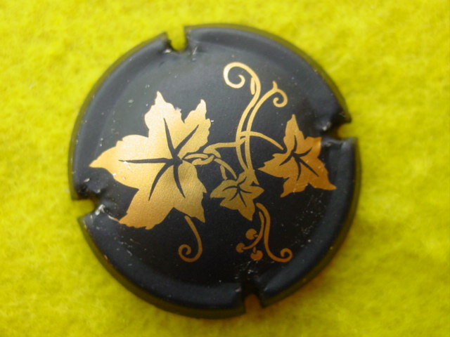 Photo de la capsule