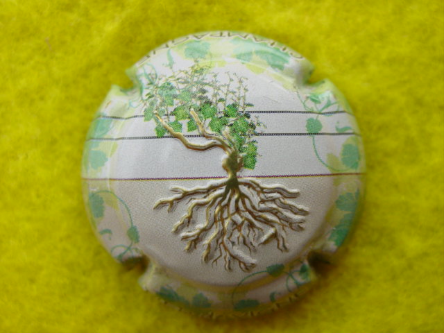 Photo de la capsule