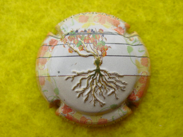 Photo de la capsule