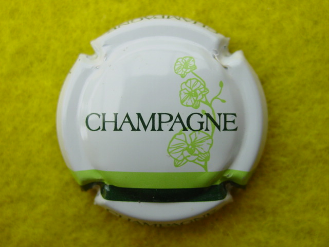 Photo de la capsule