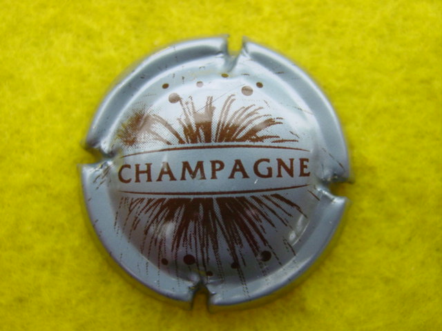 Photo de la capsule