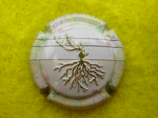 Photo de la capsule