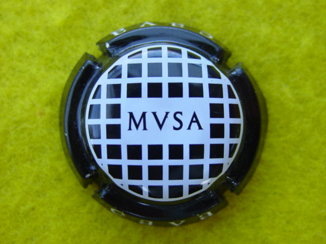 Photo de la capsule